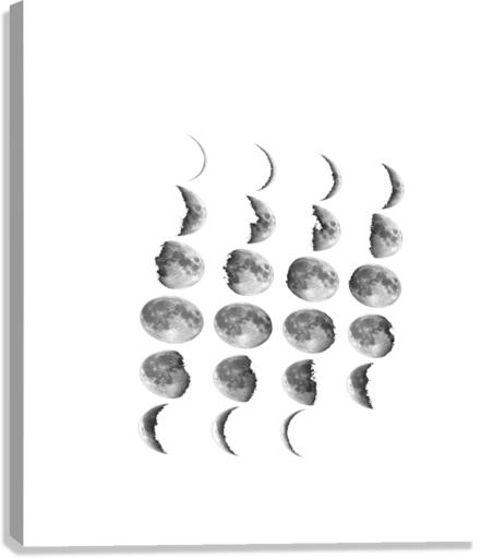 moon Canvas Print