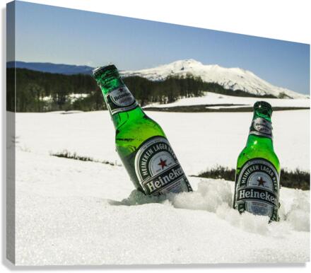 Beer Canvas Print