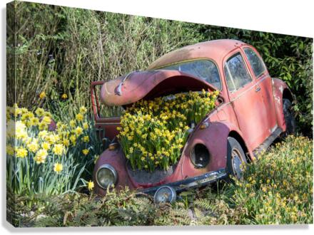 Tulips 2 Canvas Print