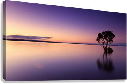 sunset 1 Canvas Print