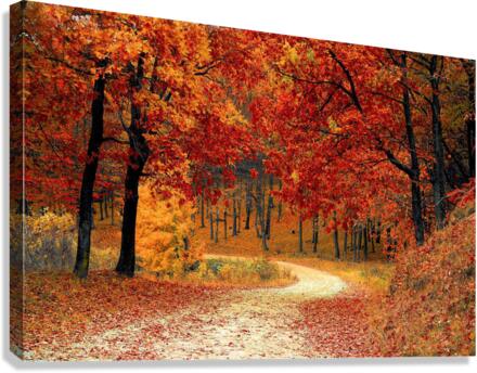 road Canvas Print