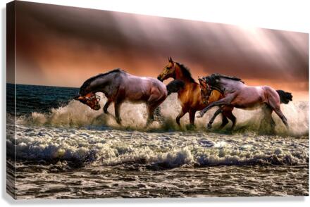 animal Canvas Print