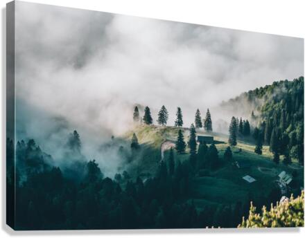 nature 003 Canvas Print