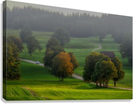 nature 002 Canvas Print