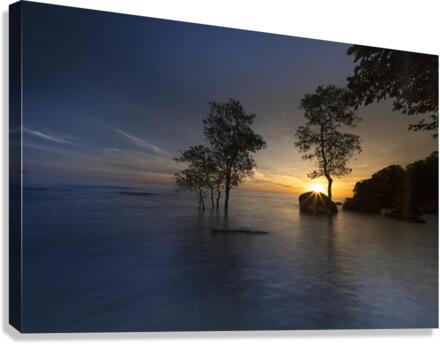 sun Canvas Print