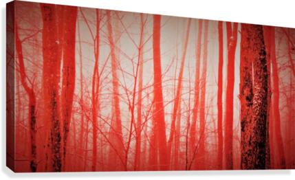 paint it red 4 Canvas Print