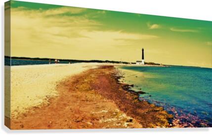Sõrve Säär Canvas Print