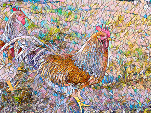 Rooster Window