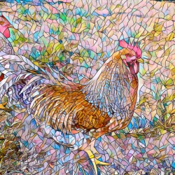 Rooster Window