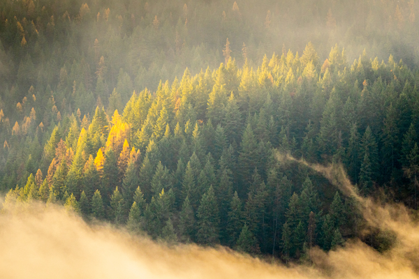 Through the Clouds Print