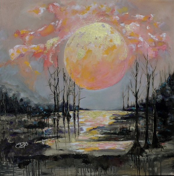 Where the Cypress Dance by Connie D Phillips
