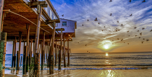 sunrise with birds Nags Head