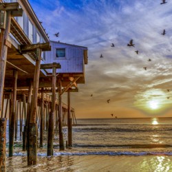 sunrise with birds Nags Head