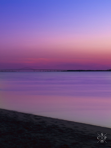 Mauve 