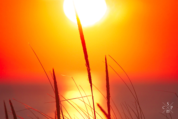 Golden Hour Print