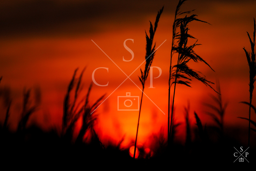 Photos sur toile,