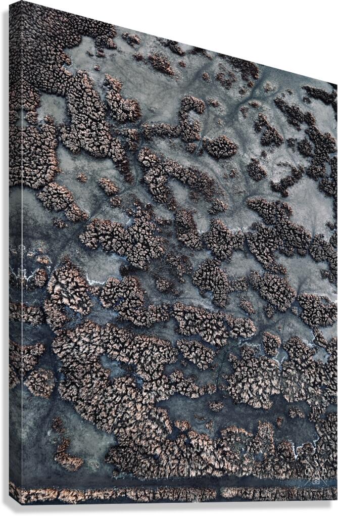 Conduit  Canvas Print