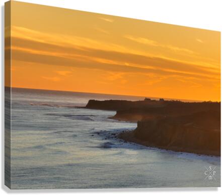 Fringe Canvas Print