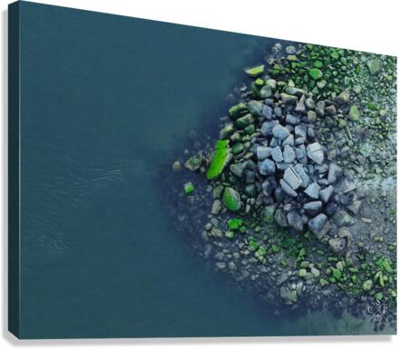 Collectors Item Canvas Print