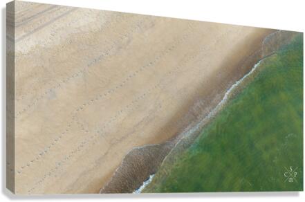 Foot Trails Canvas Print