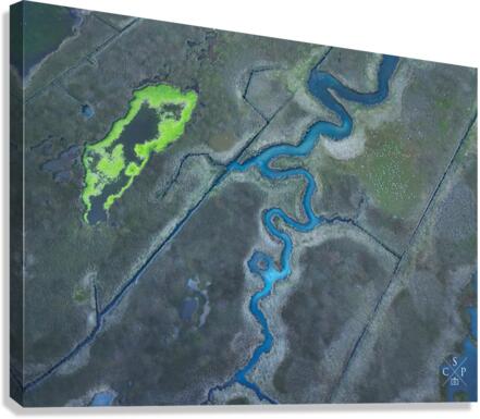 Eutrophication  Canvas Print