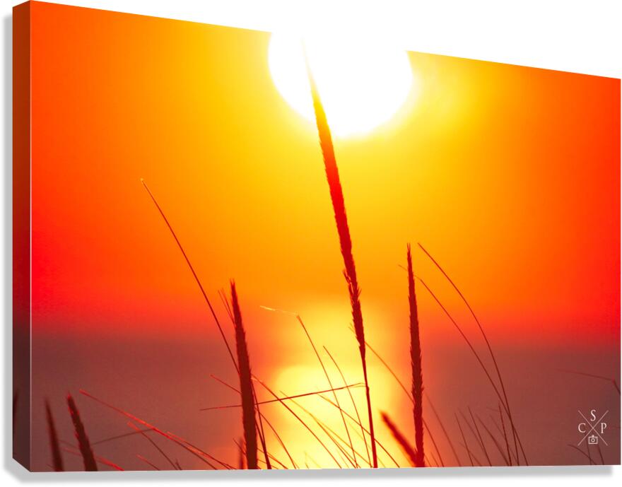 Golden Hour Canvas Print