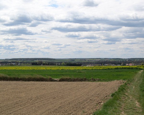 Spring Fields And Hills 2 by Fotimenow