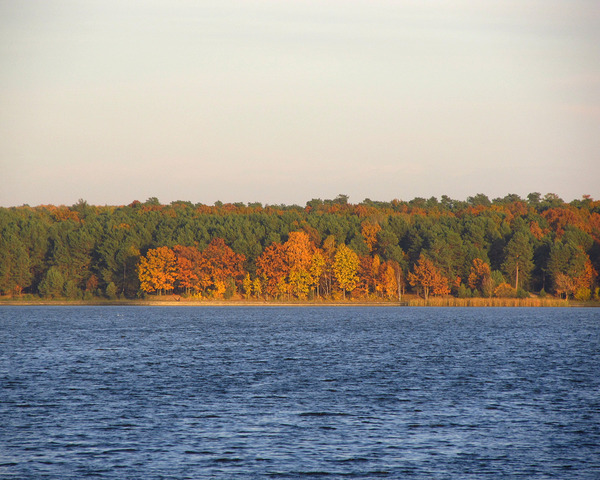 Autumn Lake by Fotimenow