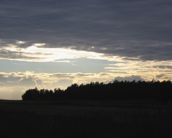 Dark Bright Sky Over Fields And Trees by Fotimenow
