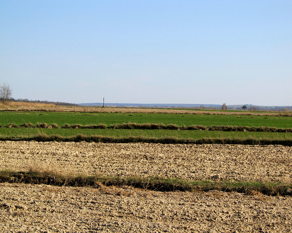 Spring Fields Under Blue Sky by Fotimenow