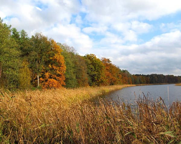 Autumn Lake 3 by Fotimenow
