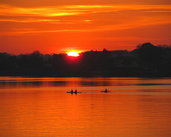 Lake Sunset With Kayak Rowers And A Bird by Fotimenow