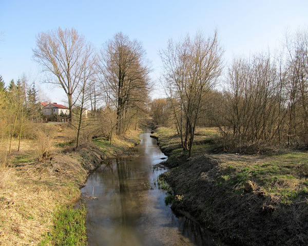 Spring River Under Clear Sky by Fotimenow