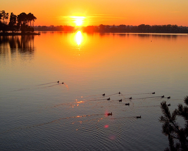 Lake Sunset With Birds by Fotimenow
