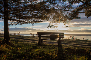 Enjoying the View 6D25 7705