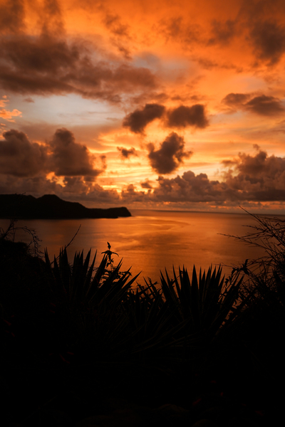 One With The Sun Print