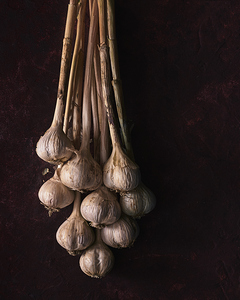 A bunch of garlic