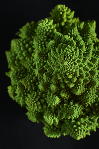 Broccoflower portrait
