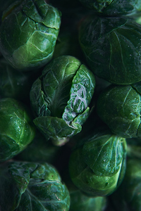 Brussels sprouts close up