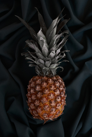 Pineapple portrait