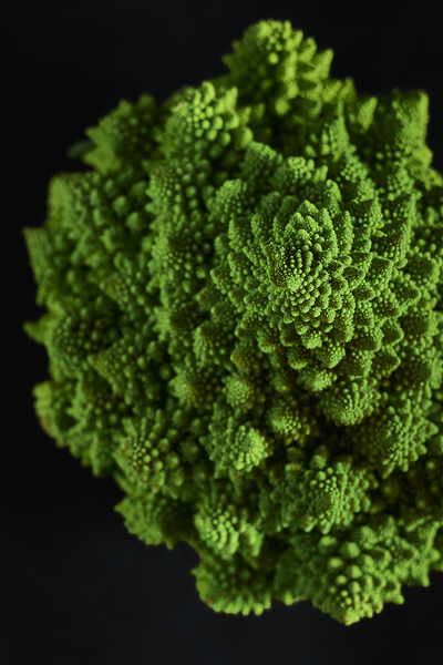 Broccoflower portrait Print