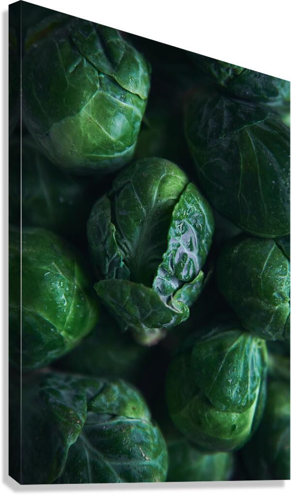 Brussels sprouts close up  Canvas Print