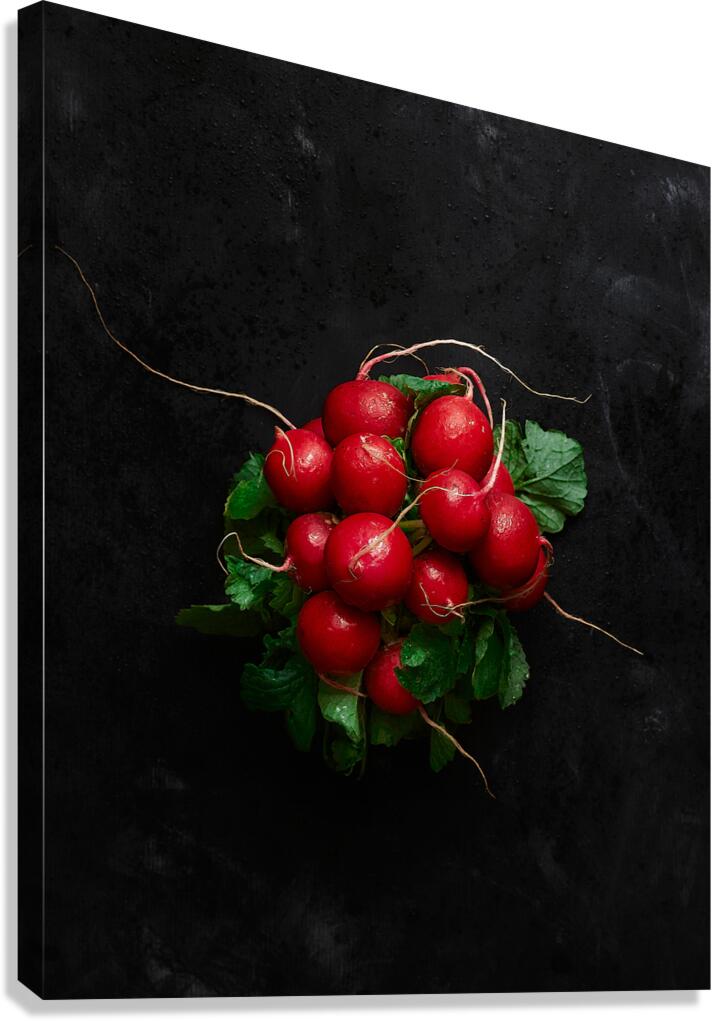 A bunch of radishes  Canvas Print