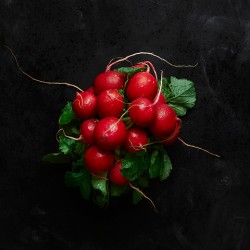 A bunch of radishes