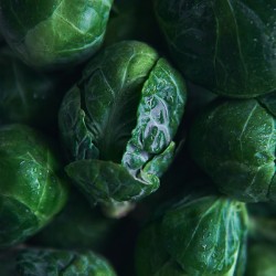 Brussels sprouts close up