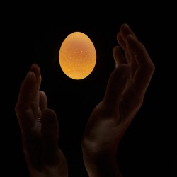 Egg moon