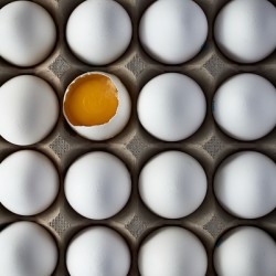 Eggs