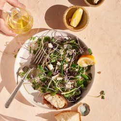 Microgreens salad