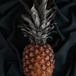 Pineapple portrait