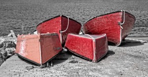 Red Dorries
